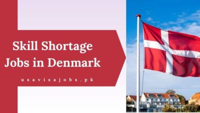 Skill Shortage Jobs in Denmark