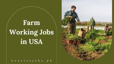 Farm Working Jobs in USA