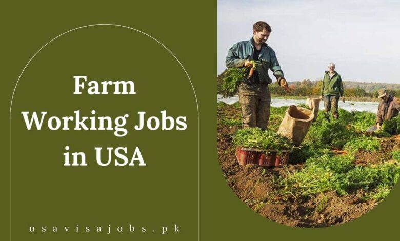 Farm Working Jobs in USA