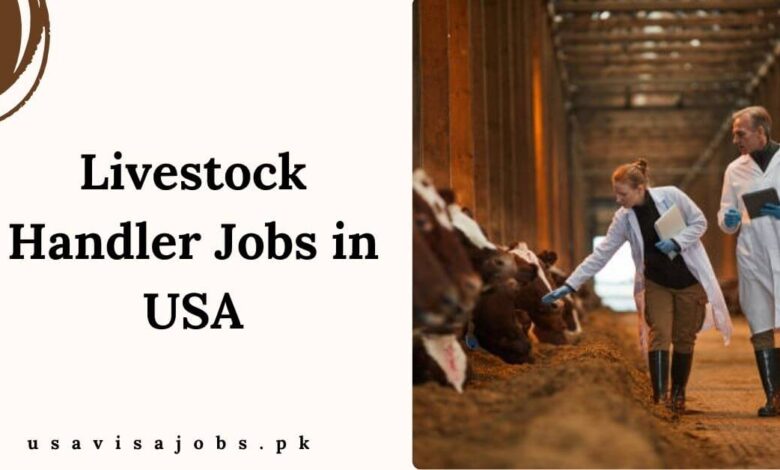 Livestock Handler Jobs in USA