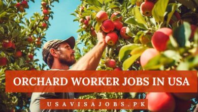 Orchard Worker Jobs in USA