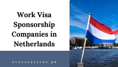 Work Visa Sponsorship Companies in Netherlands