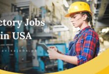 Factory Jobs in USA