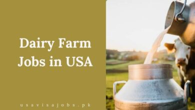 Dairy Farm Jobs in USA