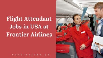 Flight Attendant Jobs in USA at Frontier Airlines