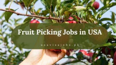 Fruit Picking Jobs in USA