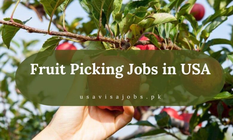 Fruit Picking Jobs in USA