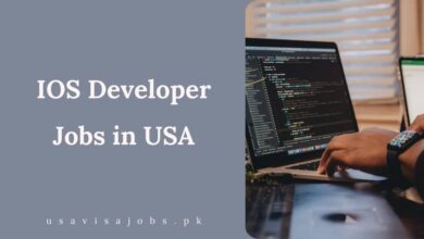 IOS Developer Jobs in USA