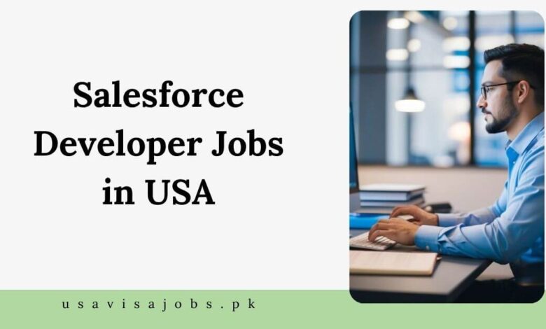 Salesforce Developer Jobs in USA