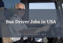 Bus Driver Jobs in USA