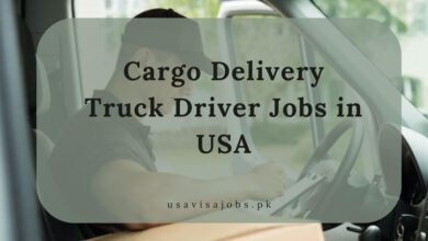 Cargo Delivery Truck Driver Jobs in USA