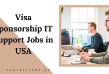 Visa Sponsorship IT Support Jobs in USA