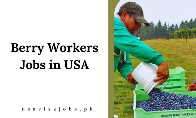 Berry Workers Jobs in USA