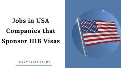 Jobs in USA Companies that Sponsor H1B Visas