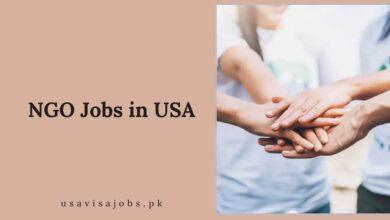 NGO Jobs in USA