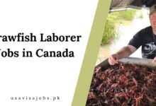 Crawfish Laborer Jobs in Canada