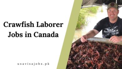 Crawfish Laborer Jobs in Canada