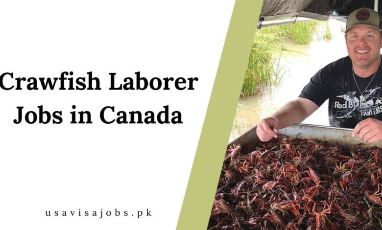 Crawfish Laborer Jobs in Canada