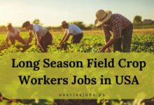 Long Season Field Crop Workers Jobs in USA