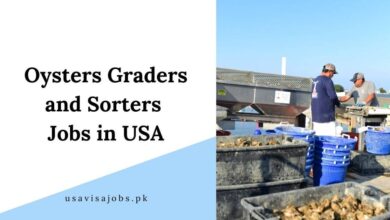 Oysters Graders and Sorters Jobs in USA