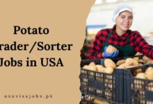 Potato Grader/Sorter Jobs in USA