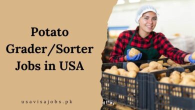 Potato Grader/Sorter Jobs in USA