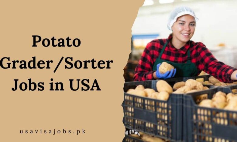 Potato Grader/Sorter Jobs in USA