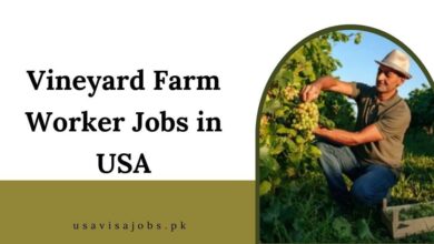 Vineyard Farm Worker Jobs in USA