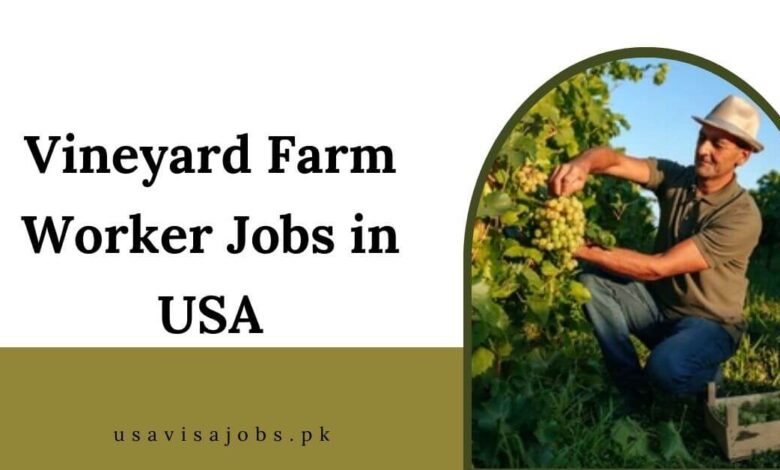 Vineyard Farm Worker Jobs in USA