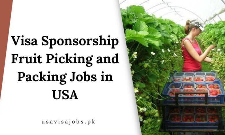 Visa Sponsorship Fruit Picking and Packing Jobs in USA
