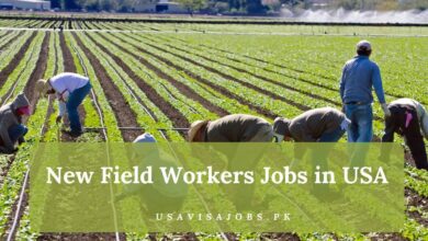New Field Workers Jobs in USA