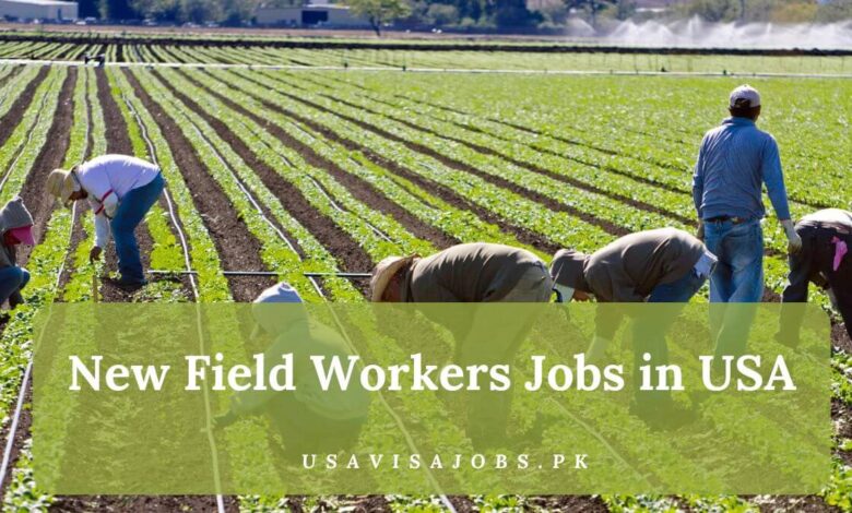 New Field Workers Jobs in USA