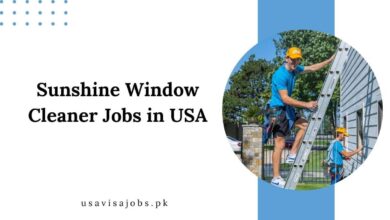 Sunshine Window Cleaner Jobs in USA