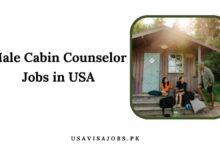 Male Cabin Counselor Jobs in USA
