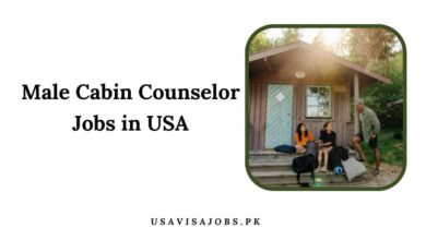 Male Cabin Counselor Jobs in USA