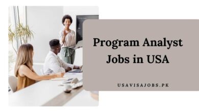 Program Analyst Jobs in USA